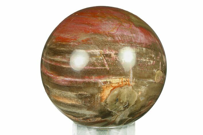 Colorful Petrified Wood (Araucaria) Sphere - Madagascar #286150